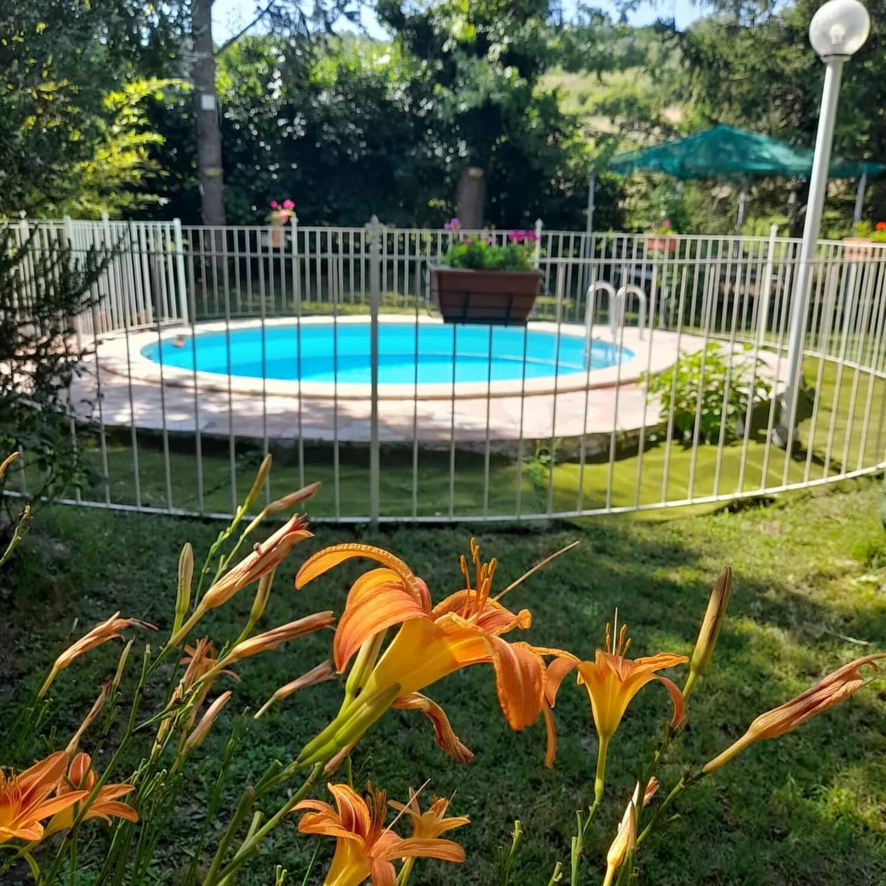 Podere Vallino - Podere Vallino, Foto 3