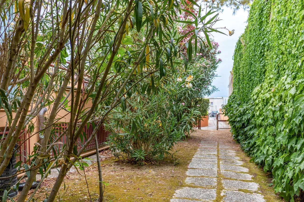 Balcony One Bedroom Apartment in Fano Marche Italy, Foto 4