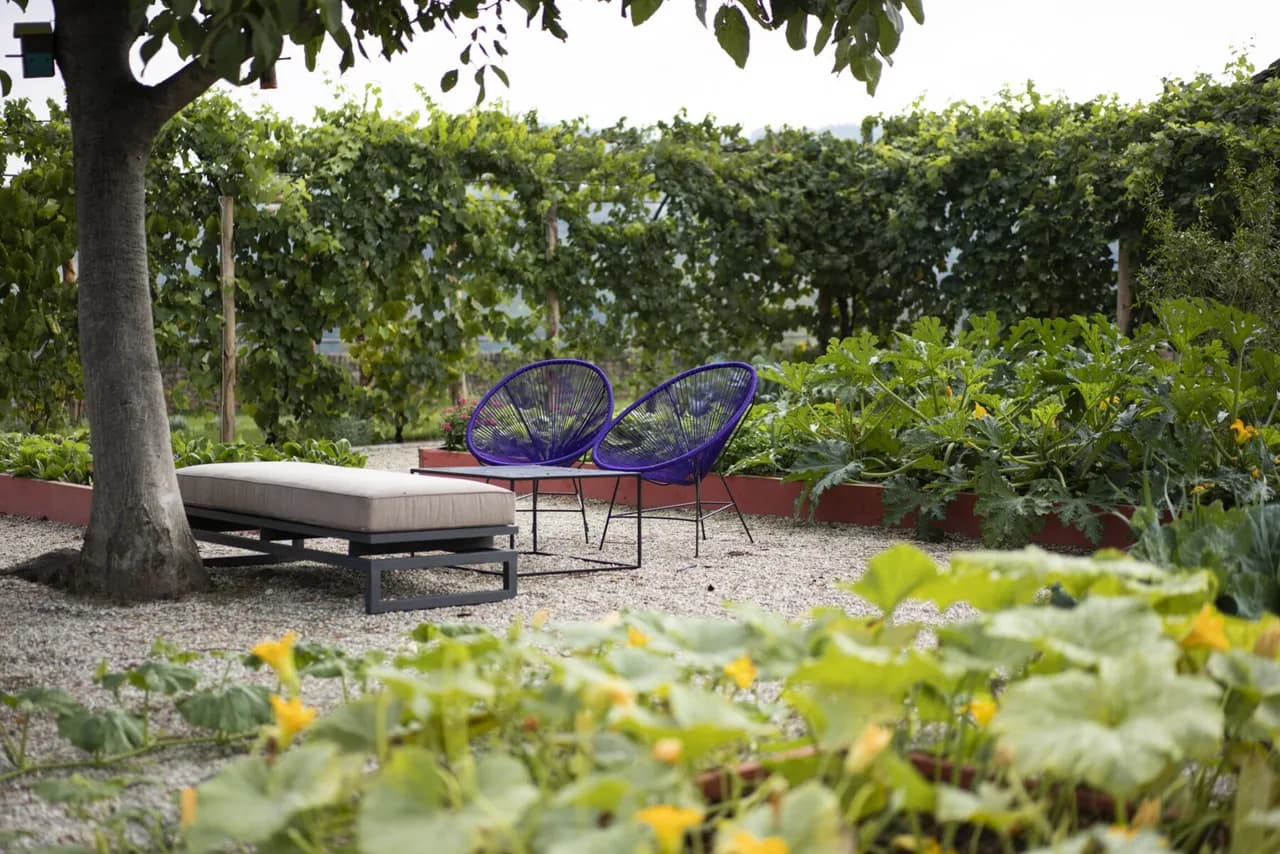 Scenic Pool Villa in Santo Stefano Belbo photo 5