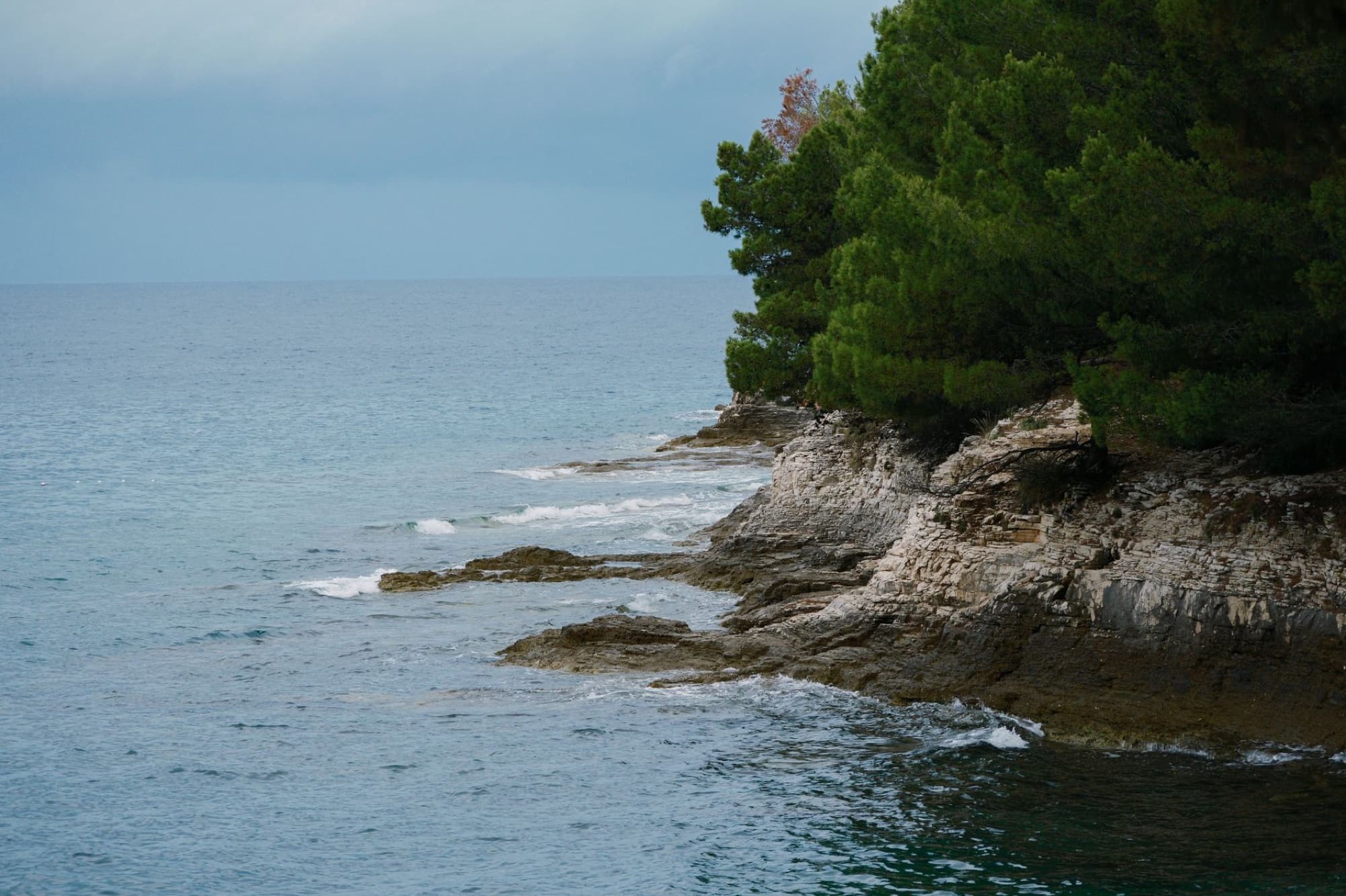 Dramatic view of Croatia's rugged Adriatic coastline with lush greenery.