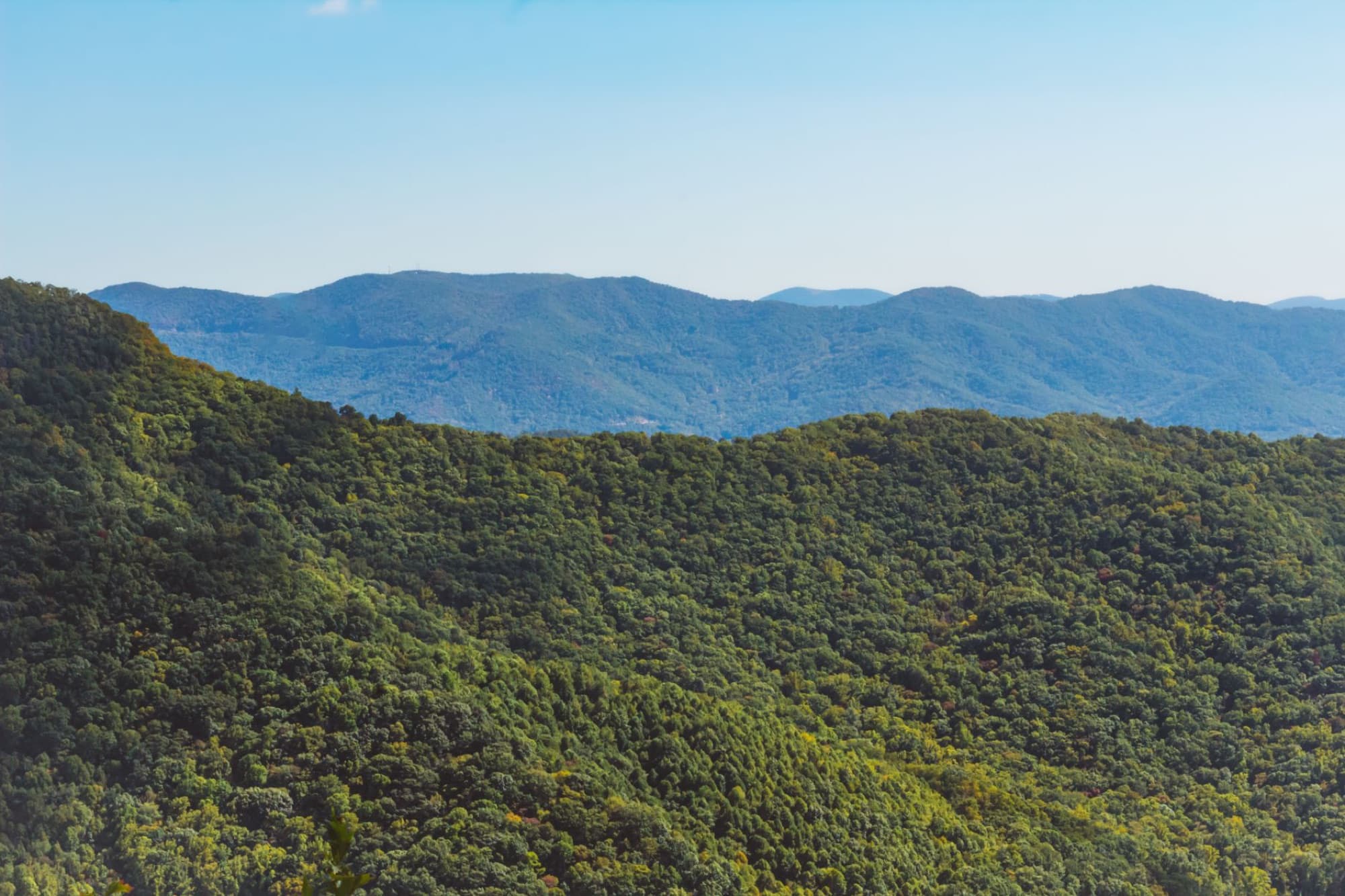 Aerial view of lush green hills and mountains in Asheville, NC during summer.
