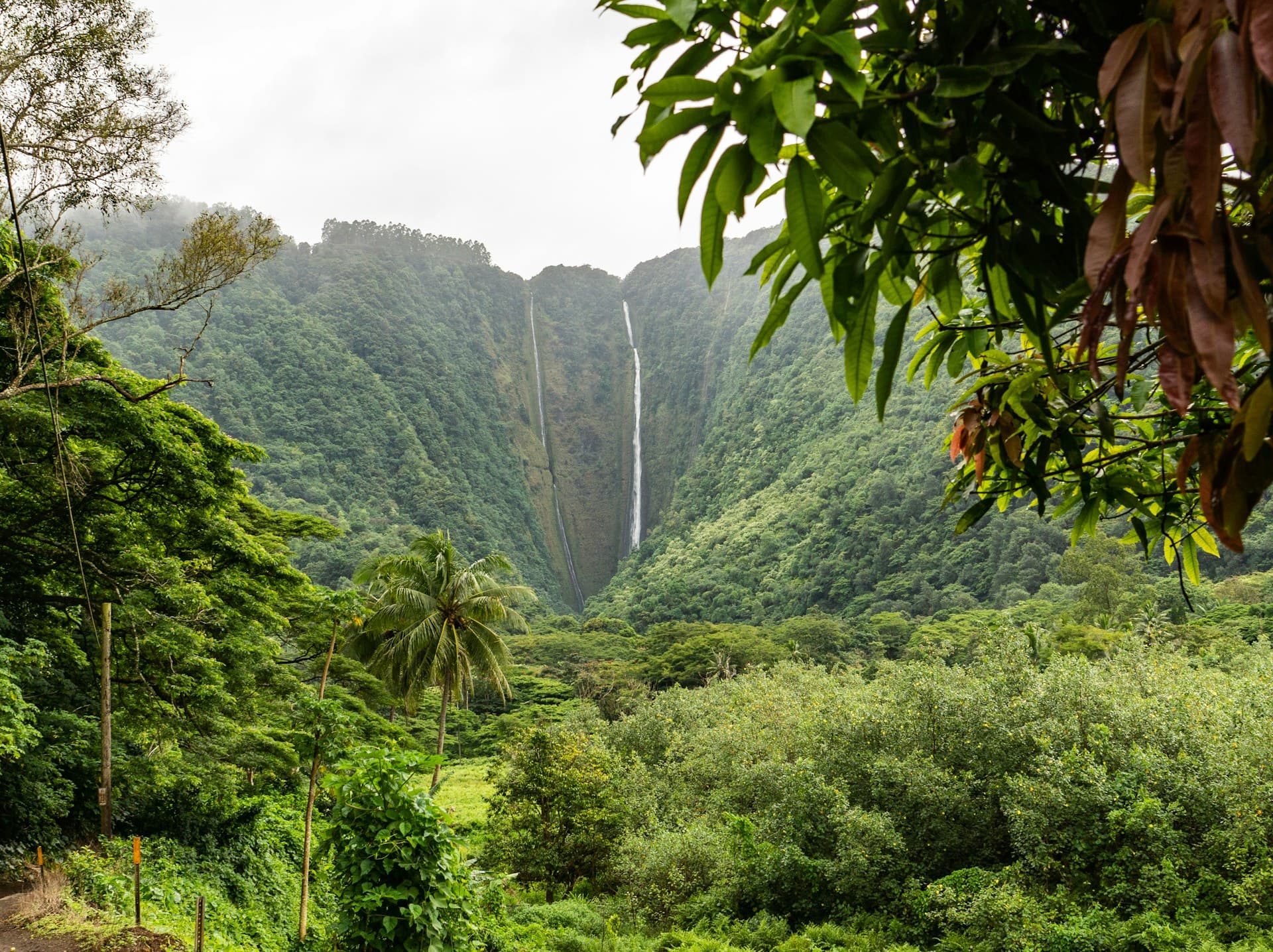 Luxury villas in Big Island