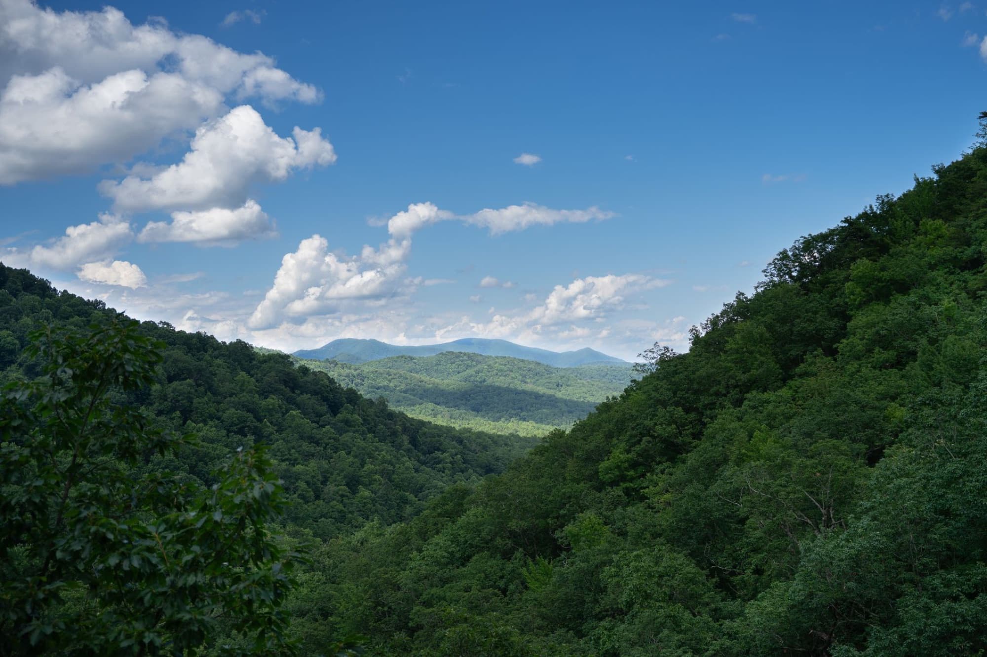 Captivating view of lush green Blue Ridge Mountains under a vibrant sky.