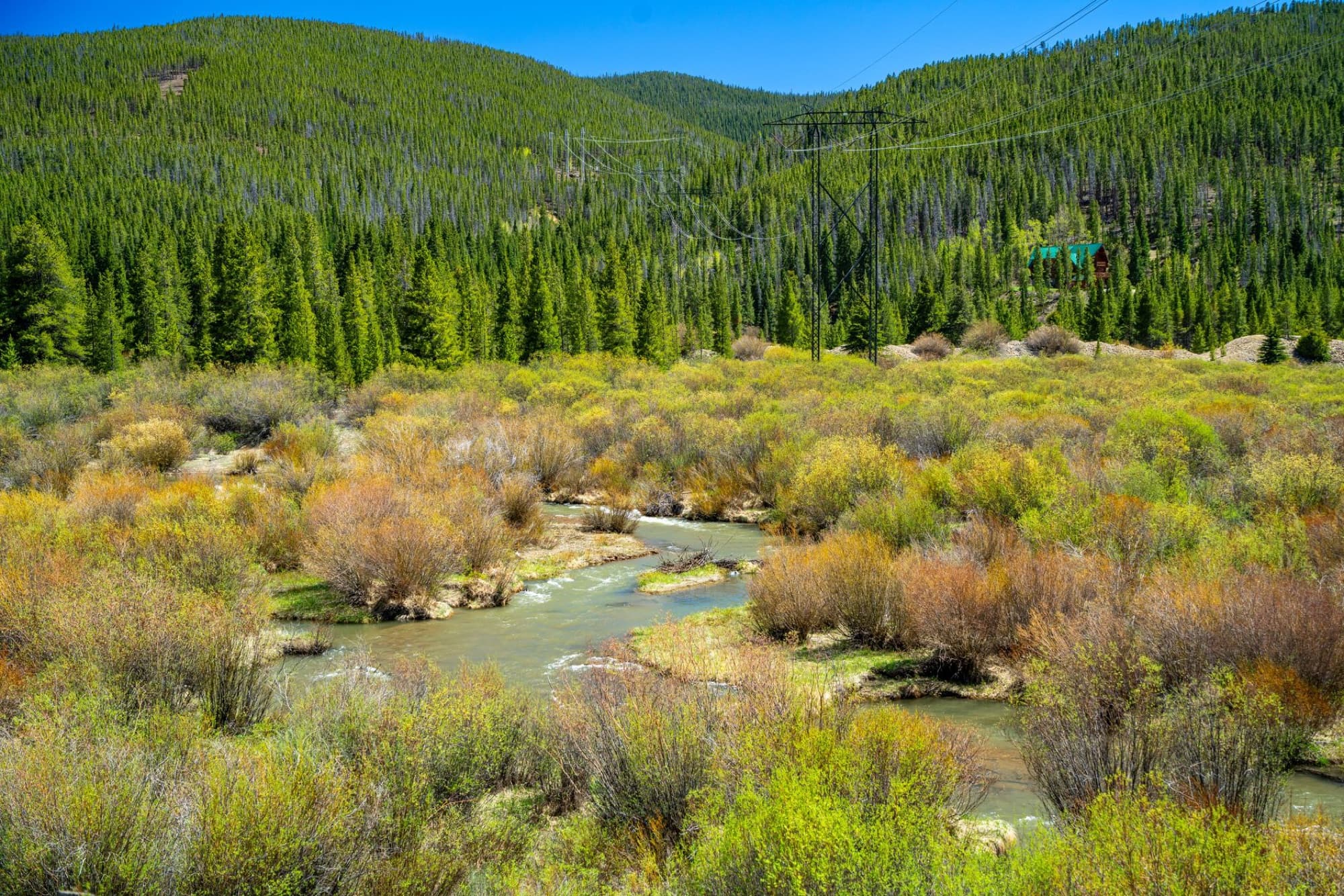 Serene mountain stream in Breckenridge, Colorado, surrounded by lush greenery and vibrant wildflowers.