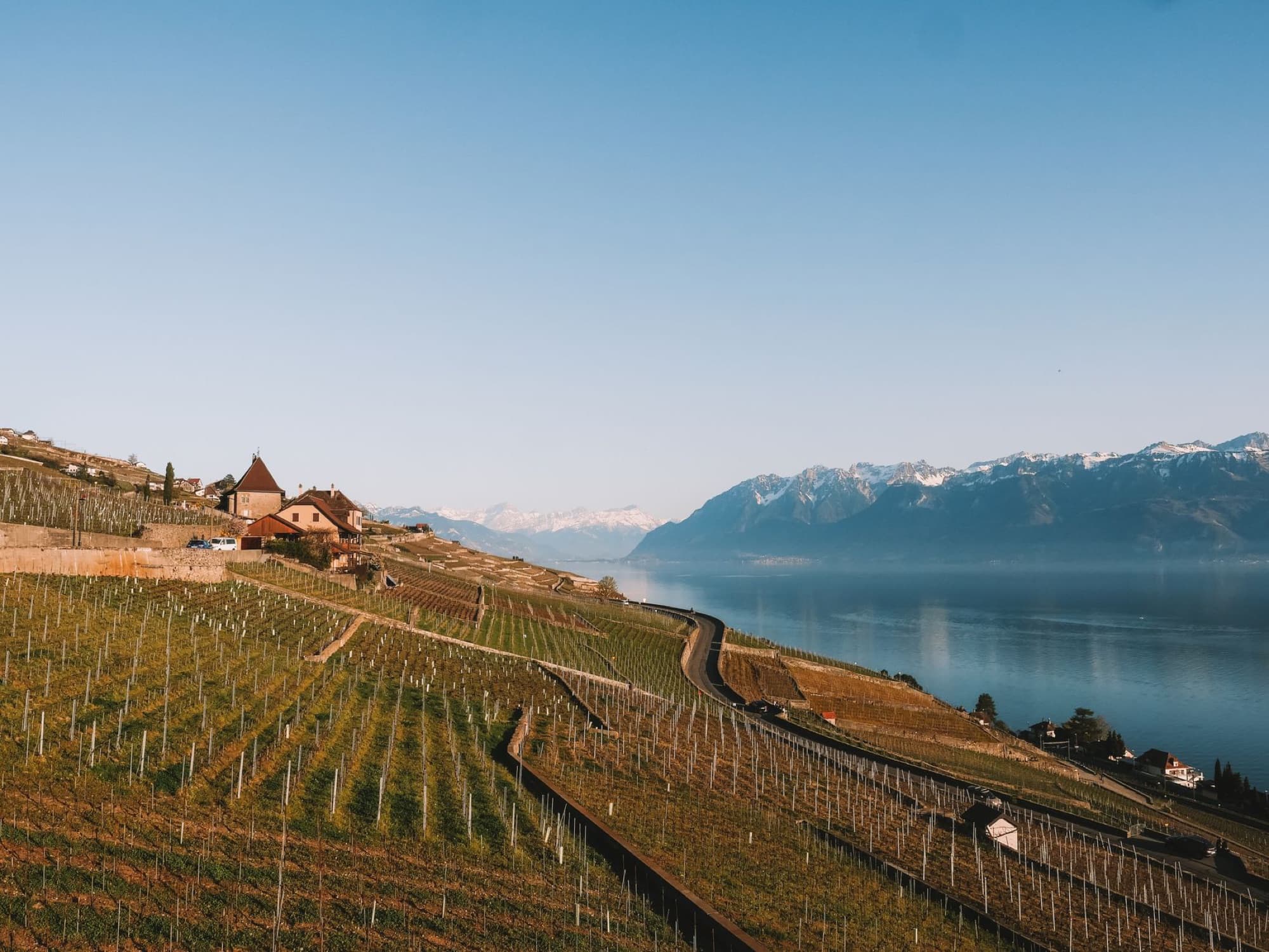 Scenic view of vineyards by Lake Geneva with mountains in the background in Switzerland.