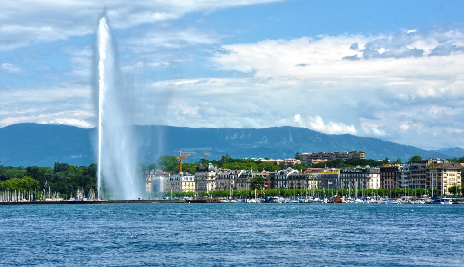 Geneva — photo 1