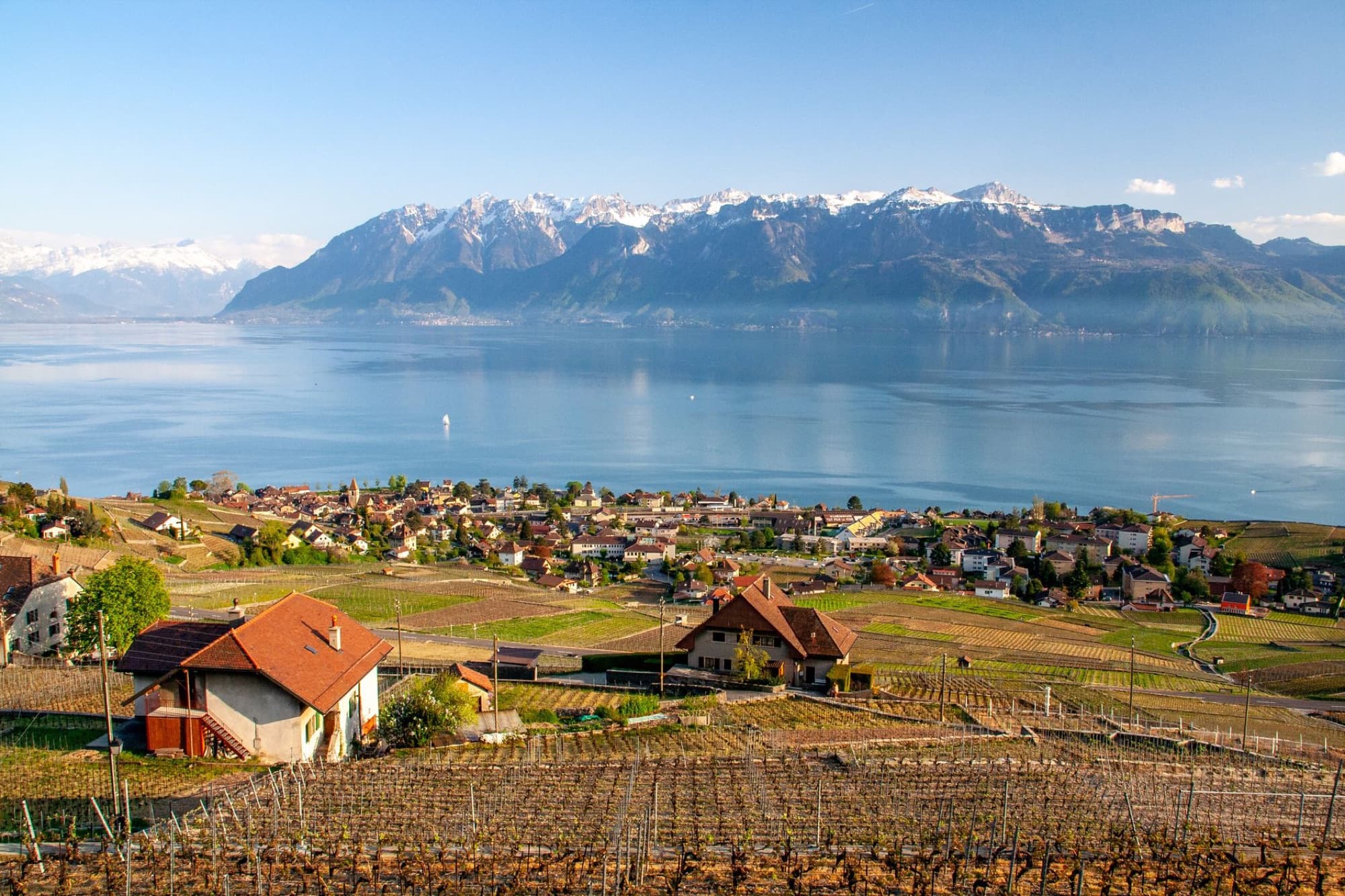 A beautiful landscape featuring a vineyard, rustic village, and the Alps overlooking Lake Geneva.
