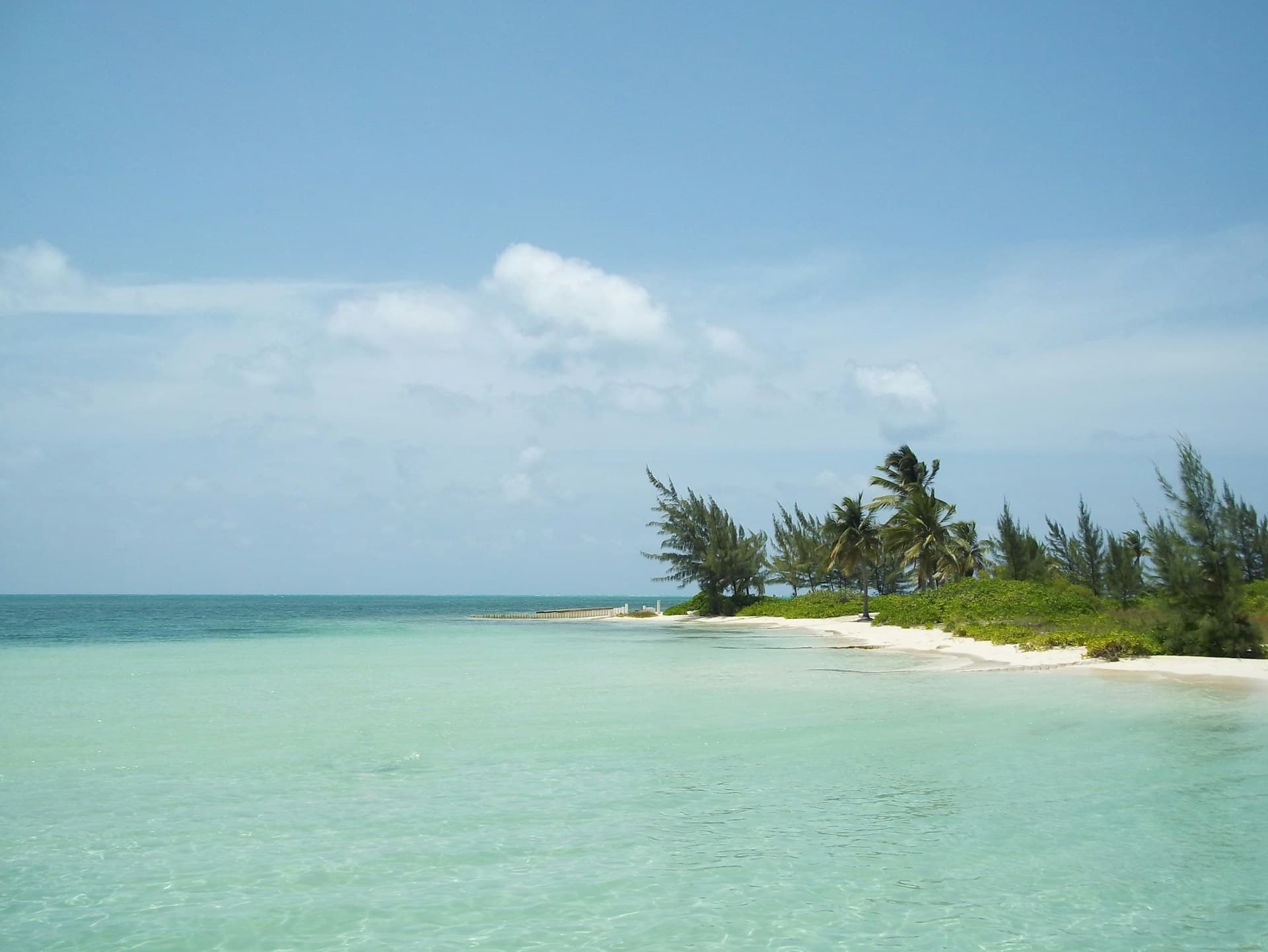 Luxury villas in Gran Caimán