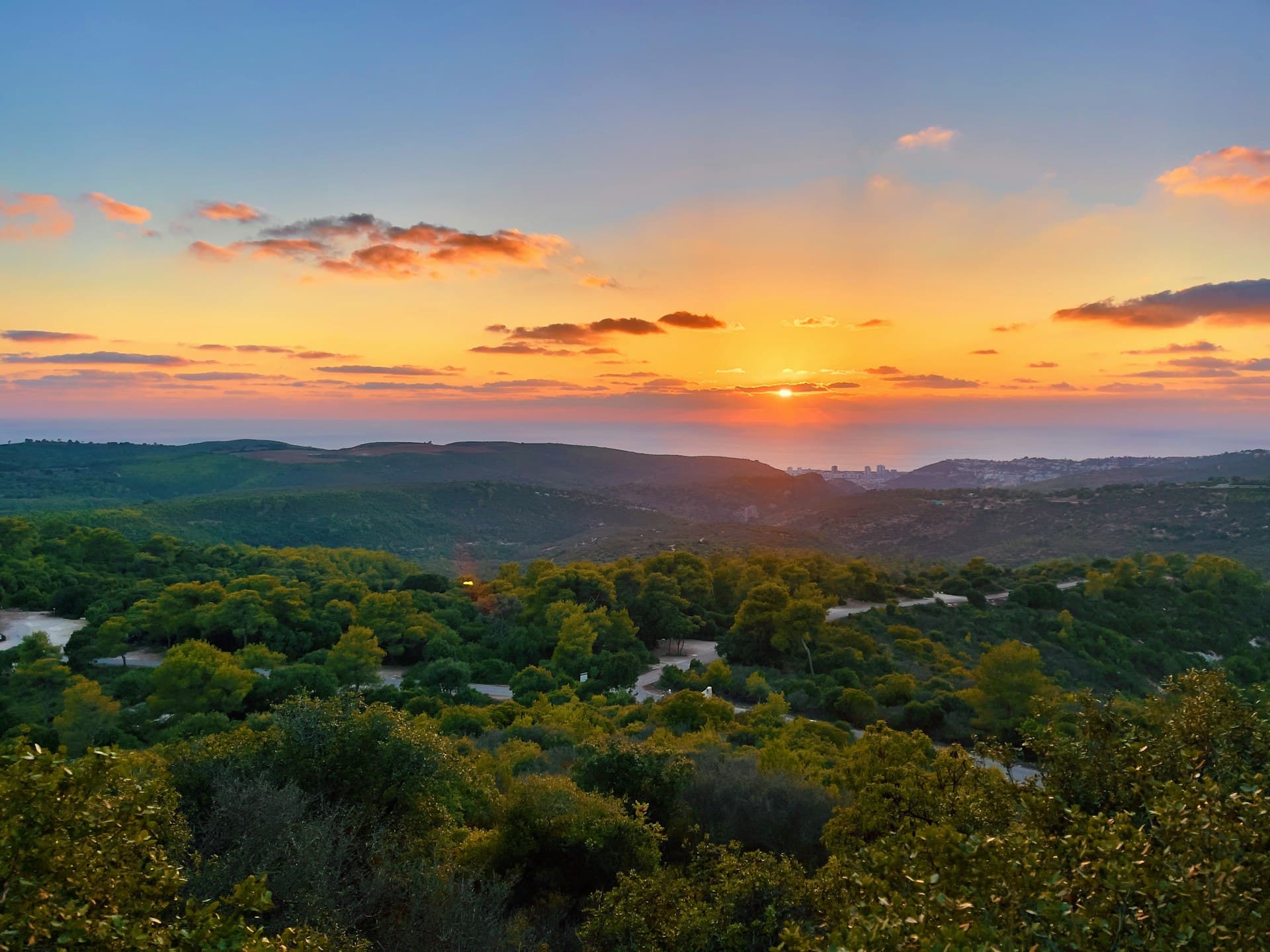 Luxury villas in Haifa