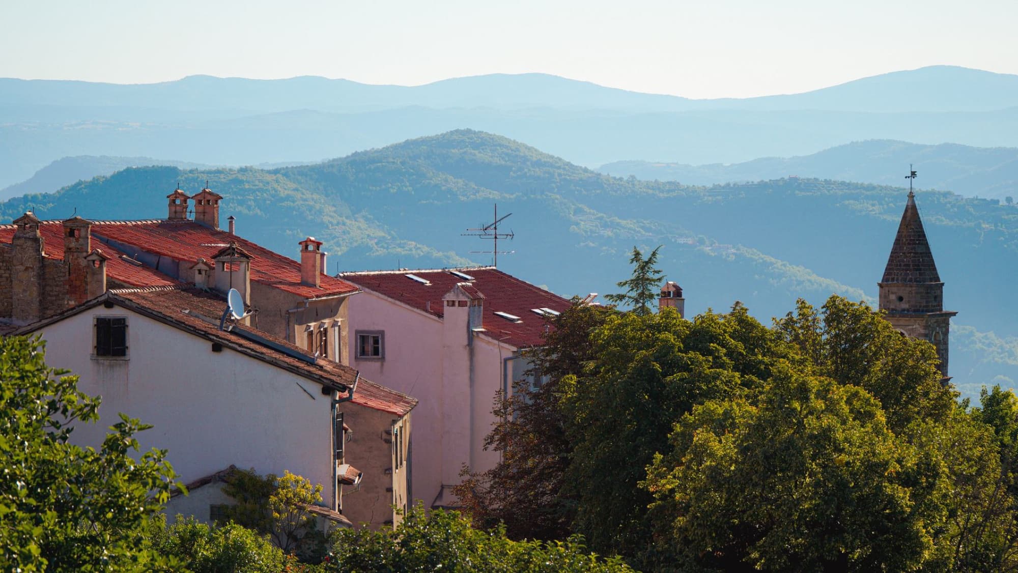 Charming architectural landscape of Motovun, Istria with scenic hills and vibrant greenery.