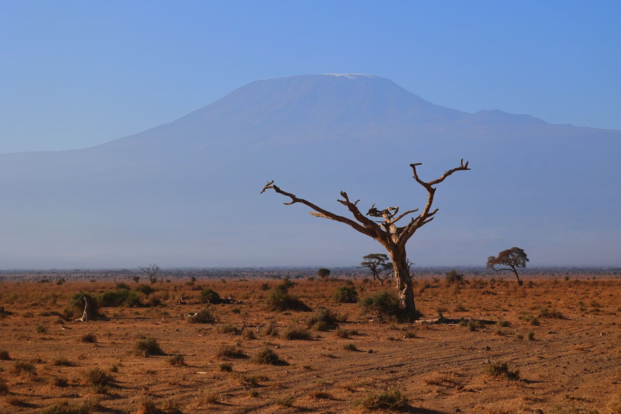 Scenic view of barren landscapes of Kajiado County, Kenya with Mount Kilimanjaro.