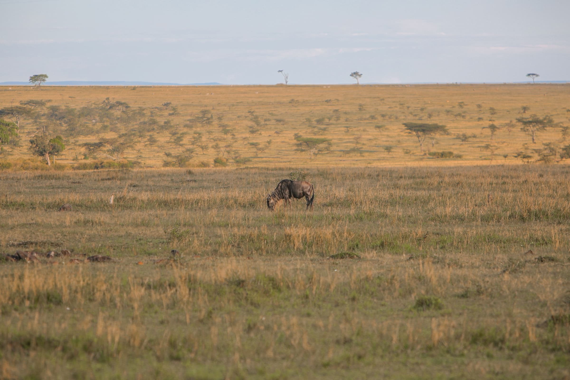 Luxury villas in Kenya
