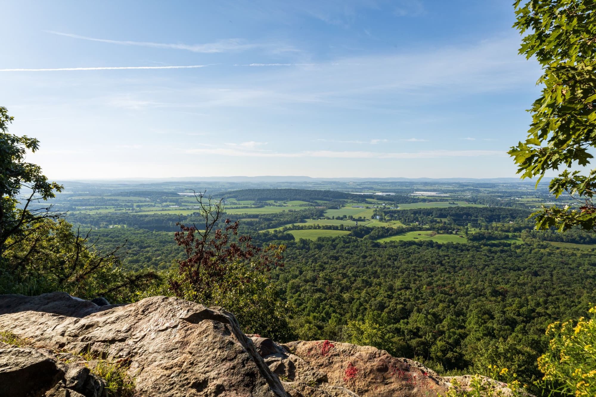 Breathtaking view of a lush forested valley from a high rocky cliff under a clear blue sky.
