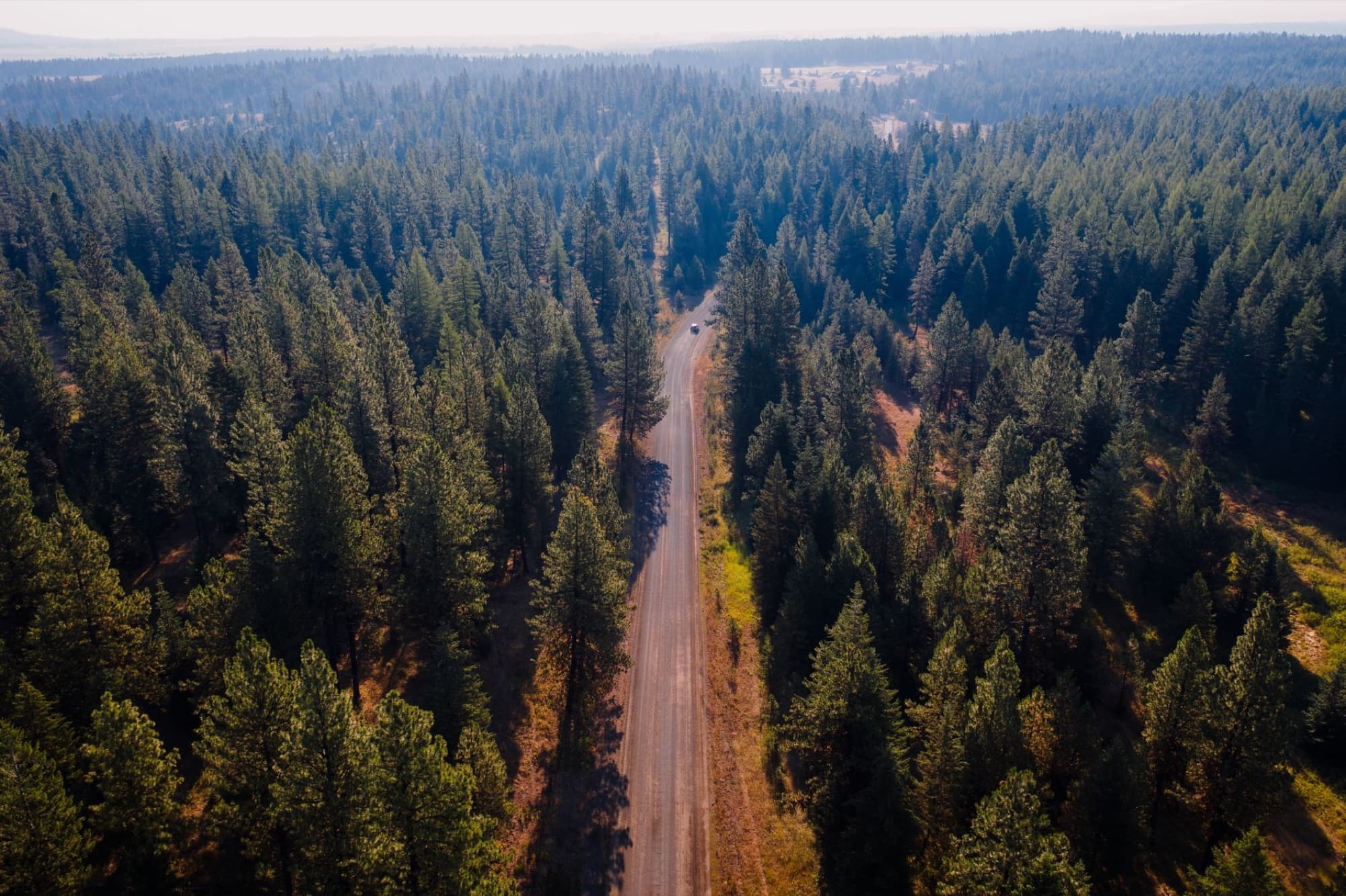 Drone captures a peaceful road winding through lush green forest, offering a refreshing summer landscape.