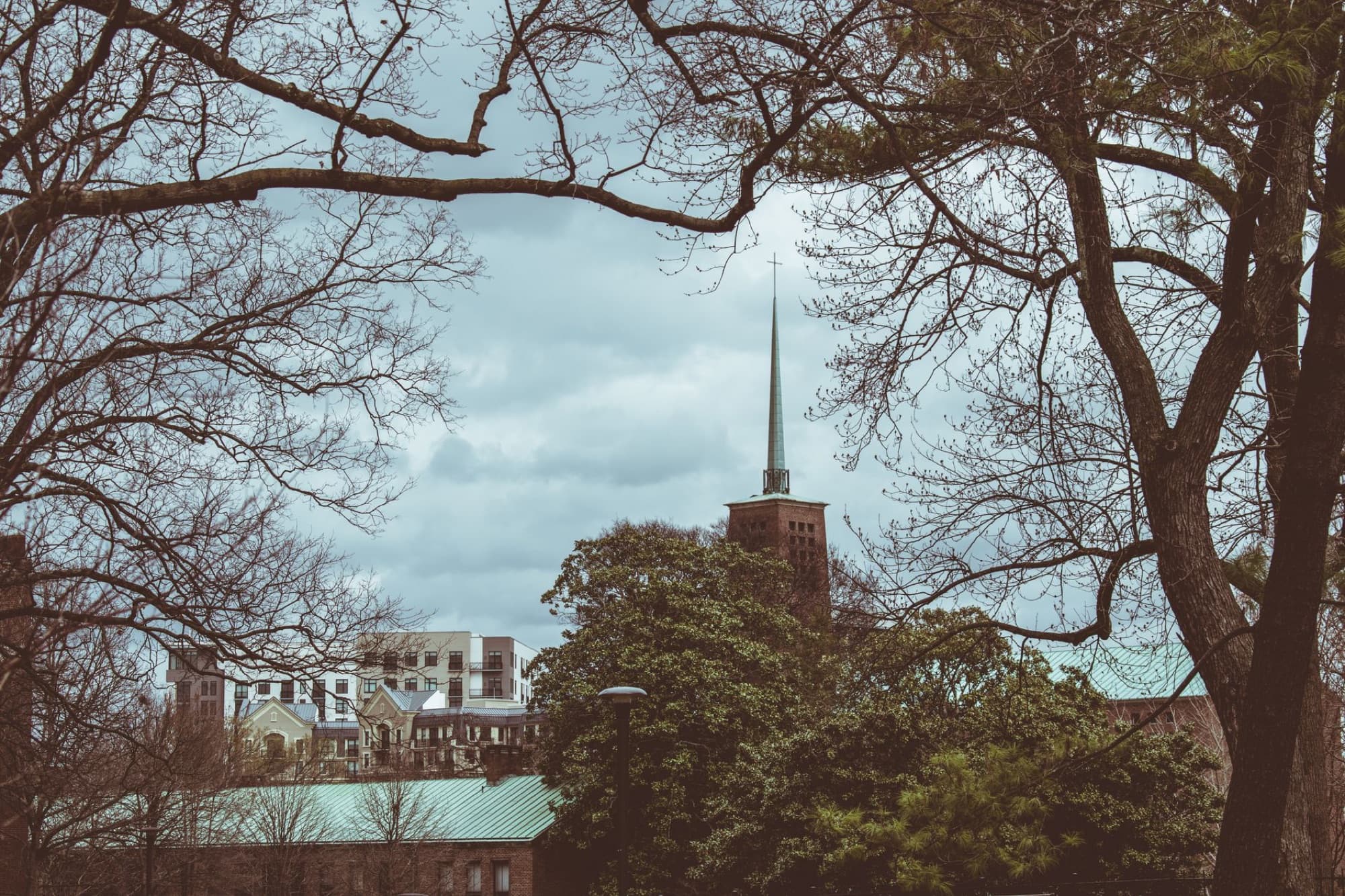 Discover the scenic beauty of Nashville's skyline framed by tree branches and cloudy skies.
