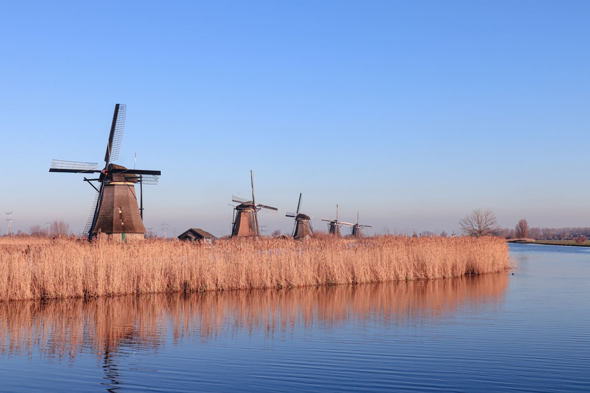 Capture of iconic windmills reflecting in a calm canal in Kinderdijk, Netherlands.