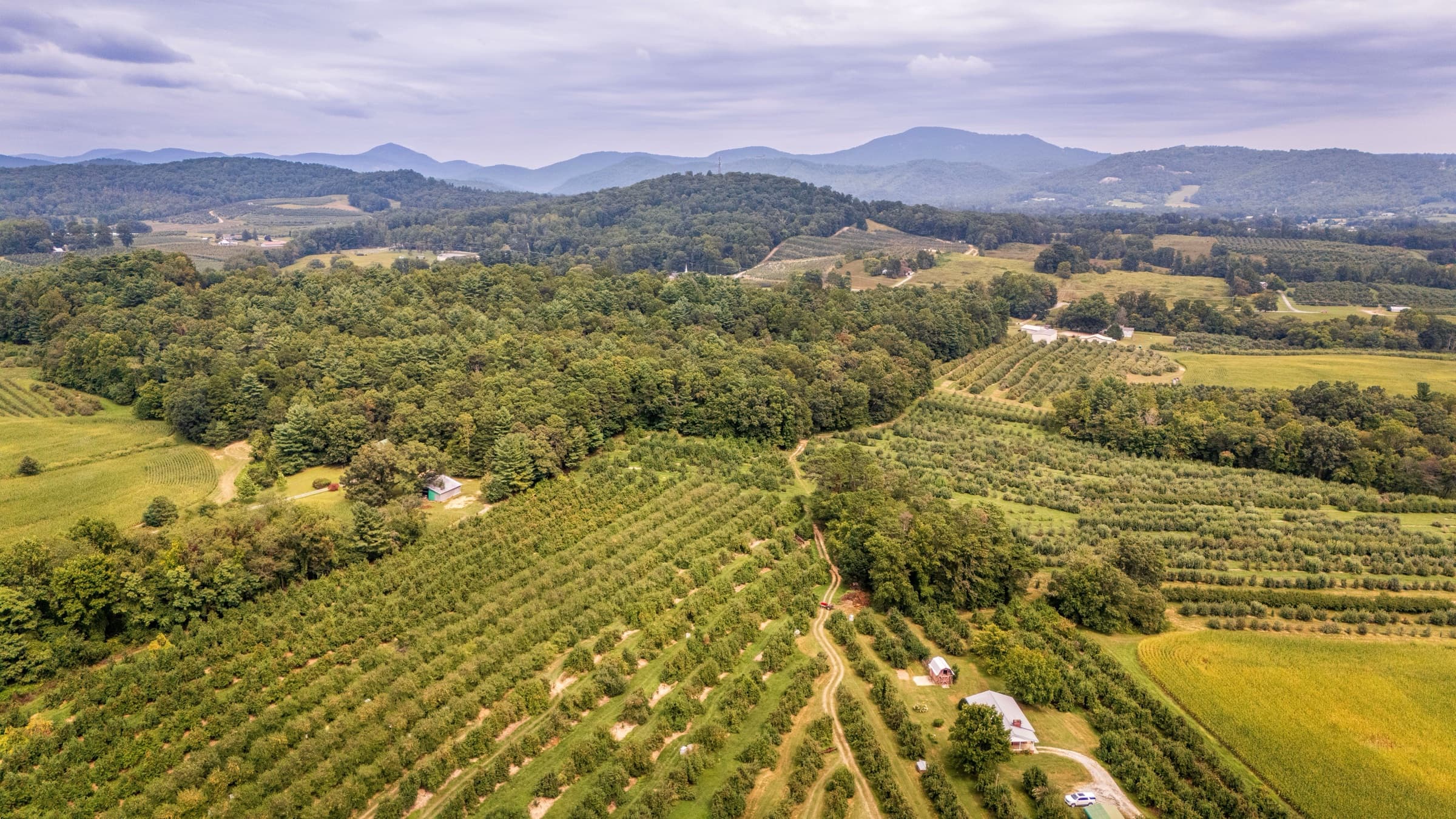 Luxury villas in North Carolina