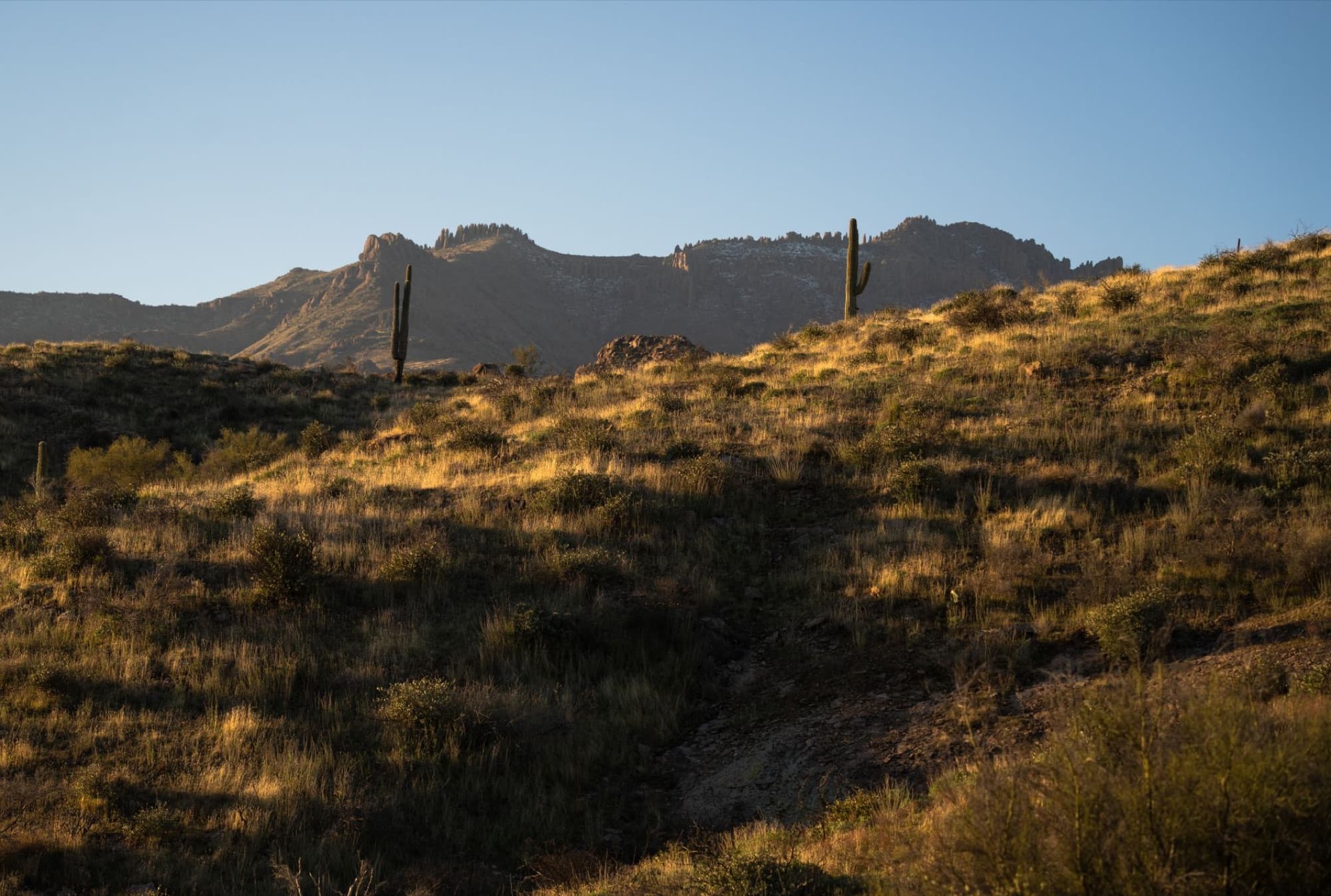 Scenic view of the Superstition Mountains with desert vegetation at sunset in Arizona.
