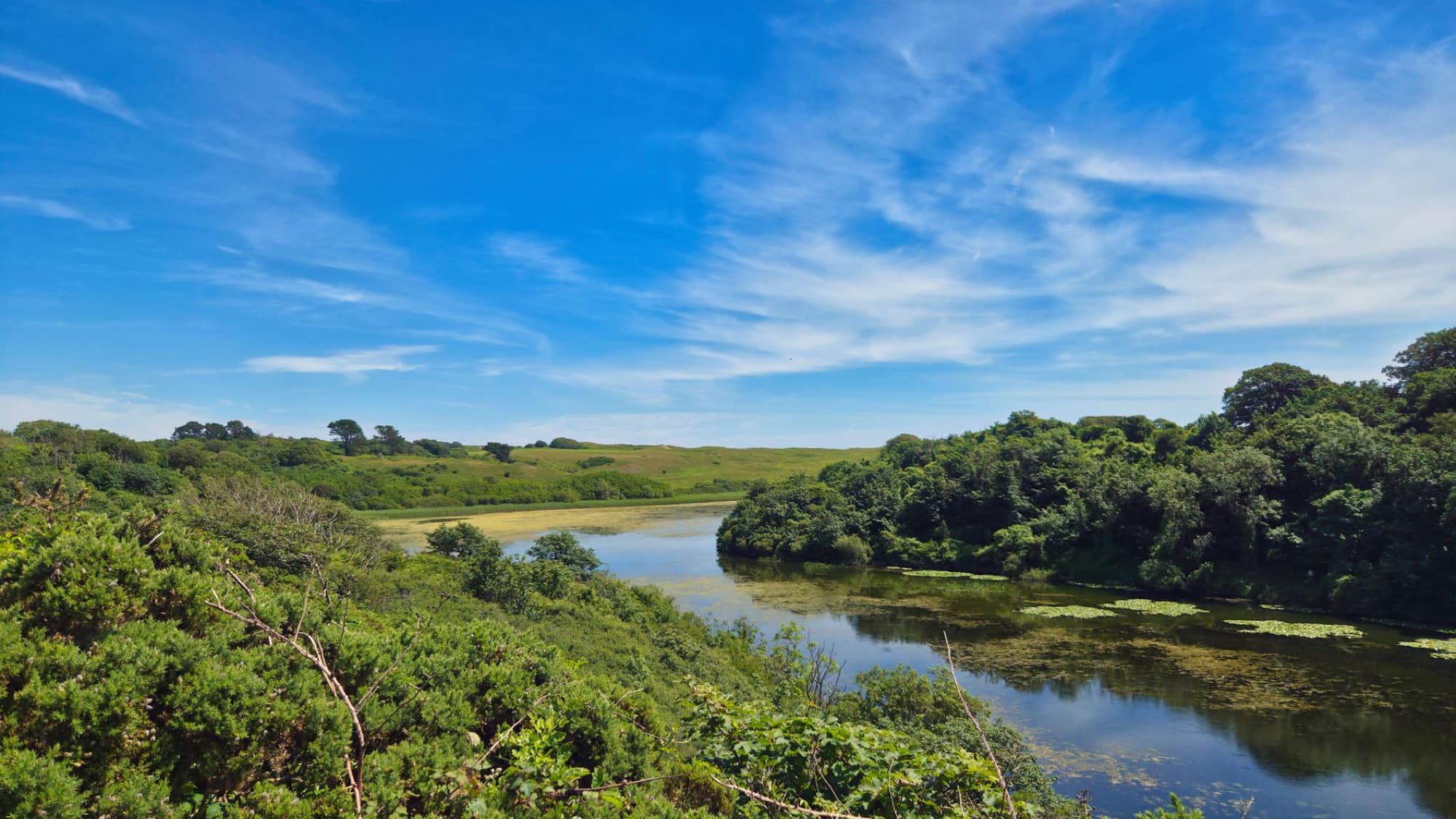 Explore the tranquil beauty of Pembrokeshire's lush landscape and serene lake under a bright summer sky.