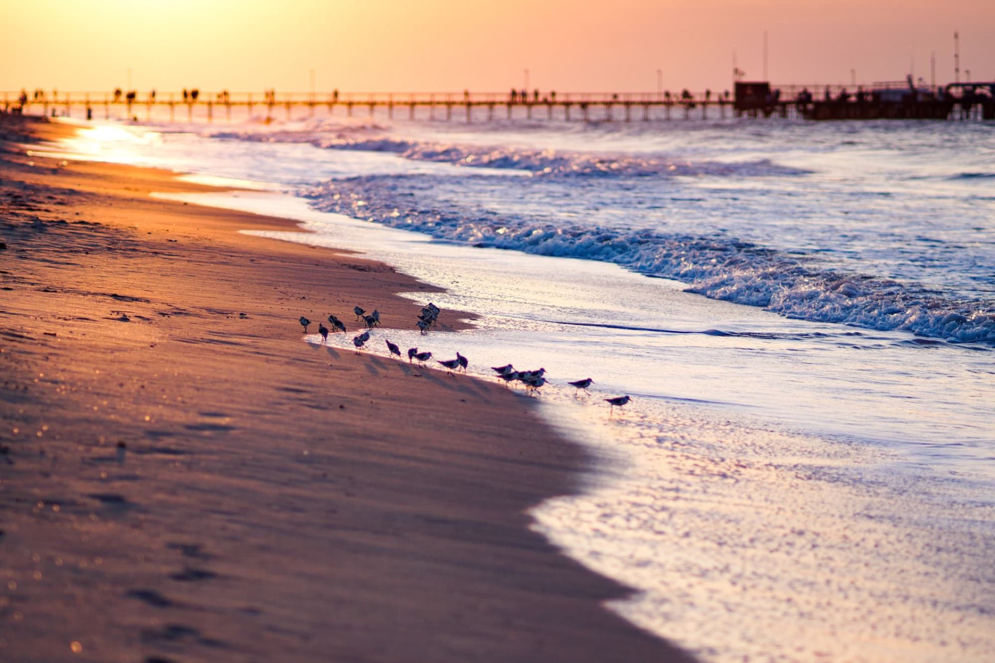 Scenic pier view at Riohacha beach during sunset with waves and sand