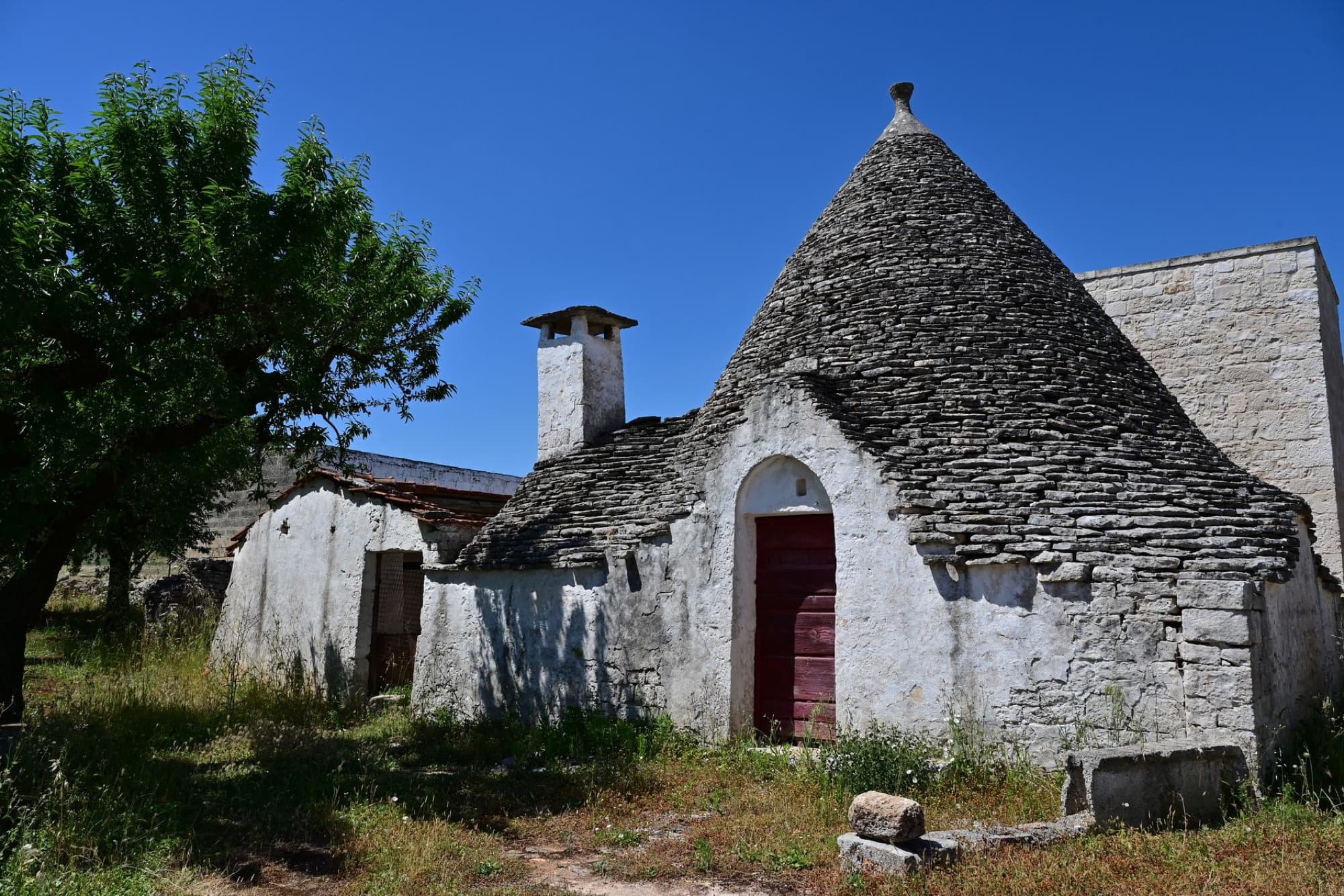 Authentic trulli house in Puglia, Italy showcasing unique conical roof architecture under clear blue sky.