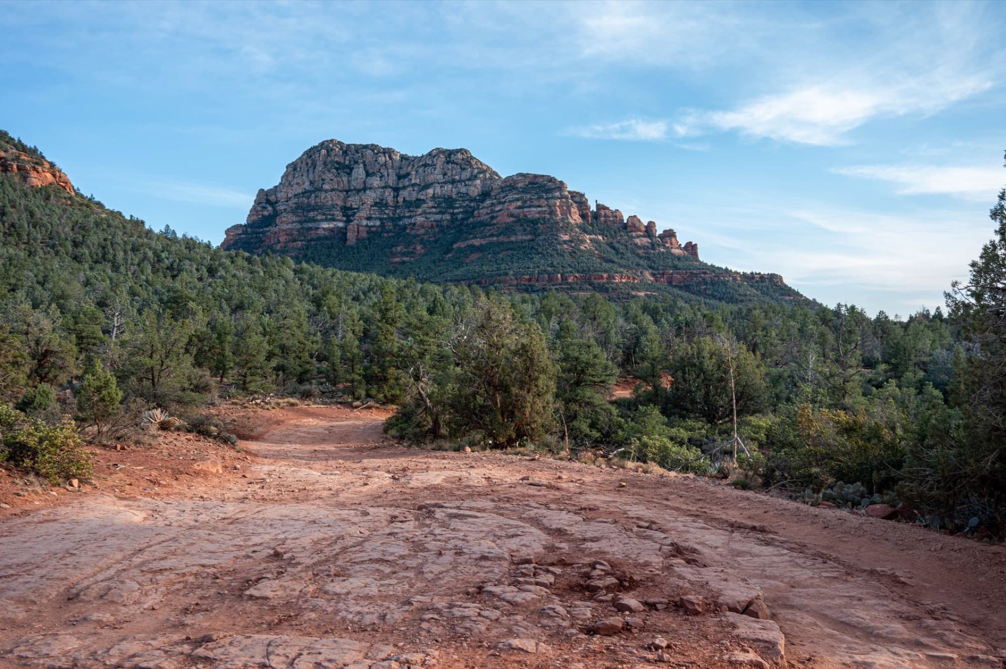 Scenic view of a mountain in Sedona with lush forest and red dirt trail.