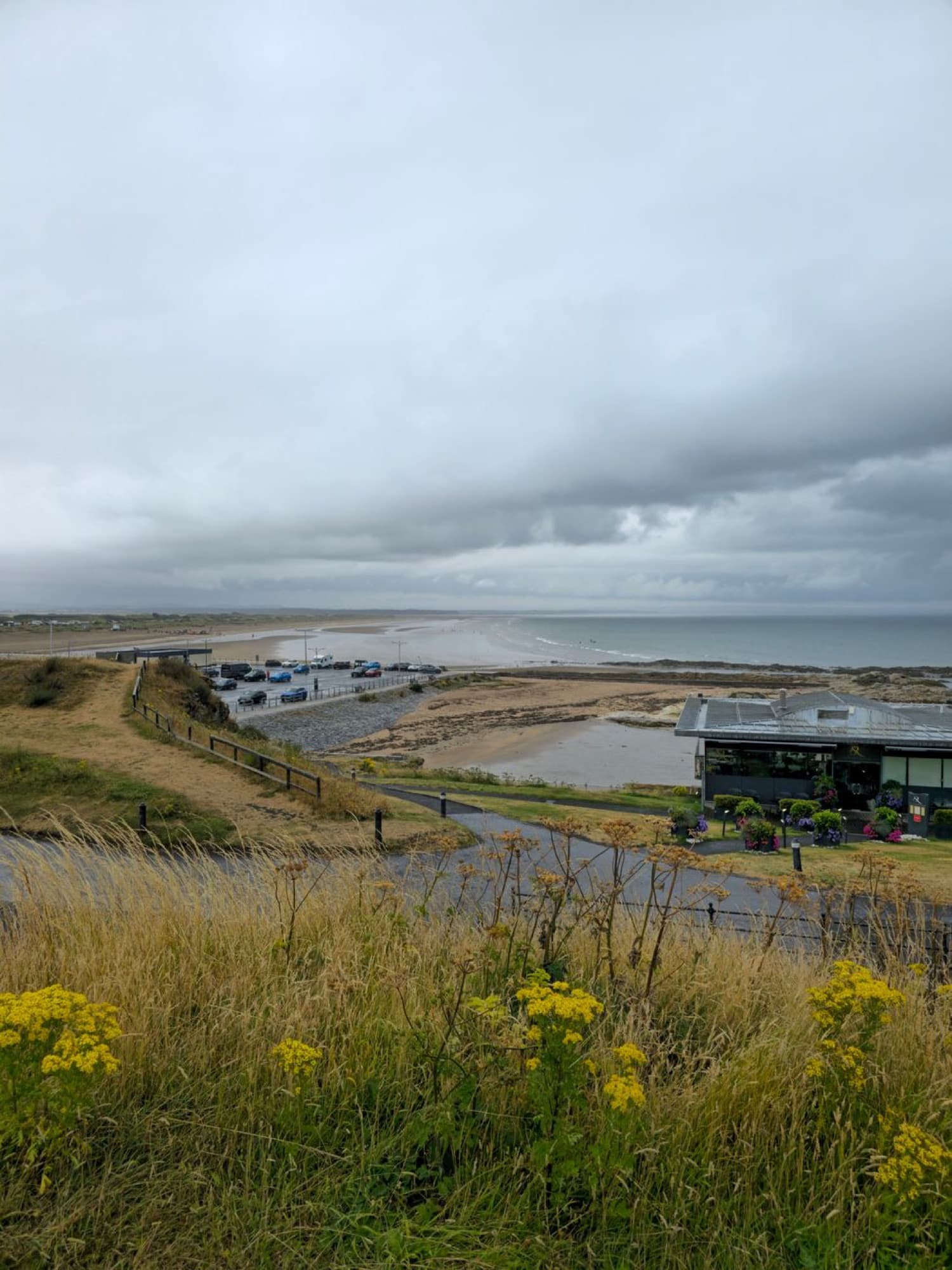 Scenic view of St Andrews coastline with grassy dunes and ocean under cloudy sky.