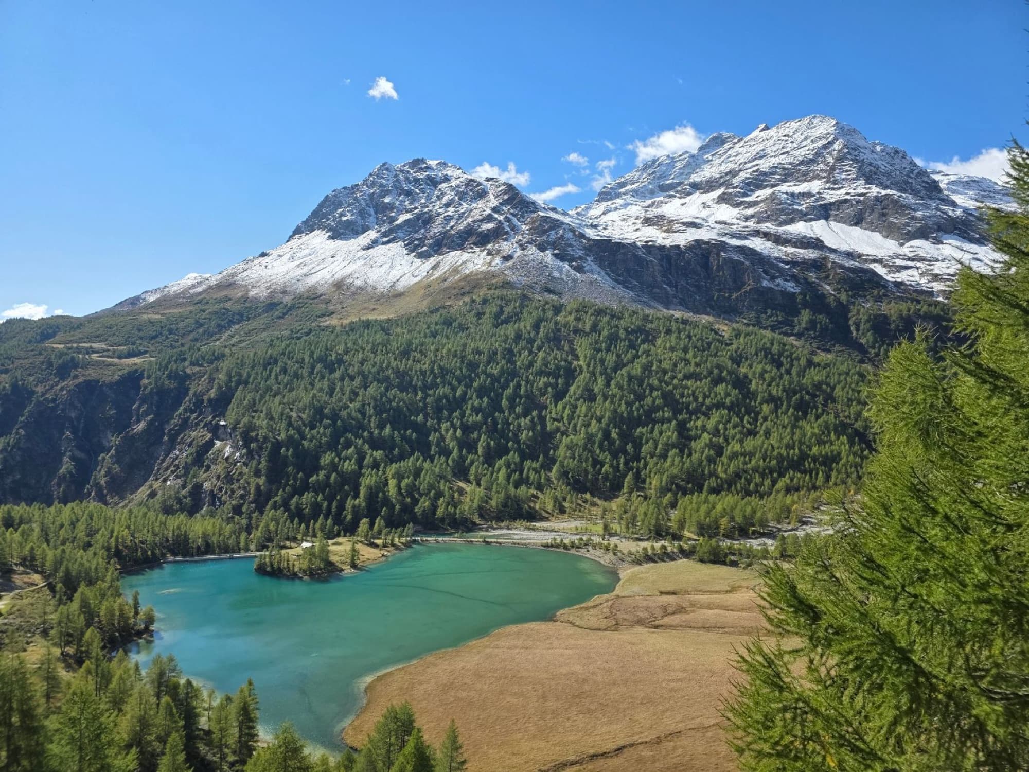 Breathtaking view of Lake St. Moritz surrounded by snow-capped Alps and lush forest.
