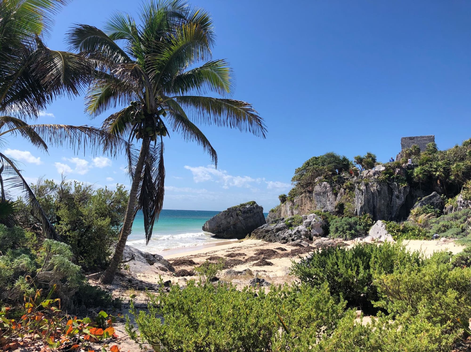 Scenic view of Tulum's tropical beach with palm trees and ruins, perfect vacation spot.
