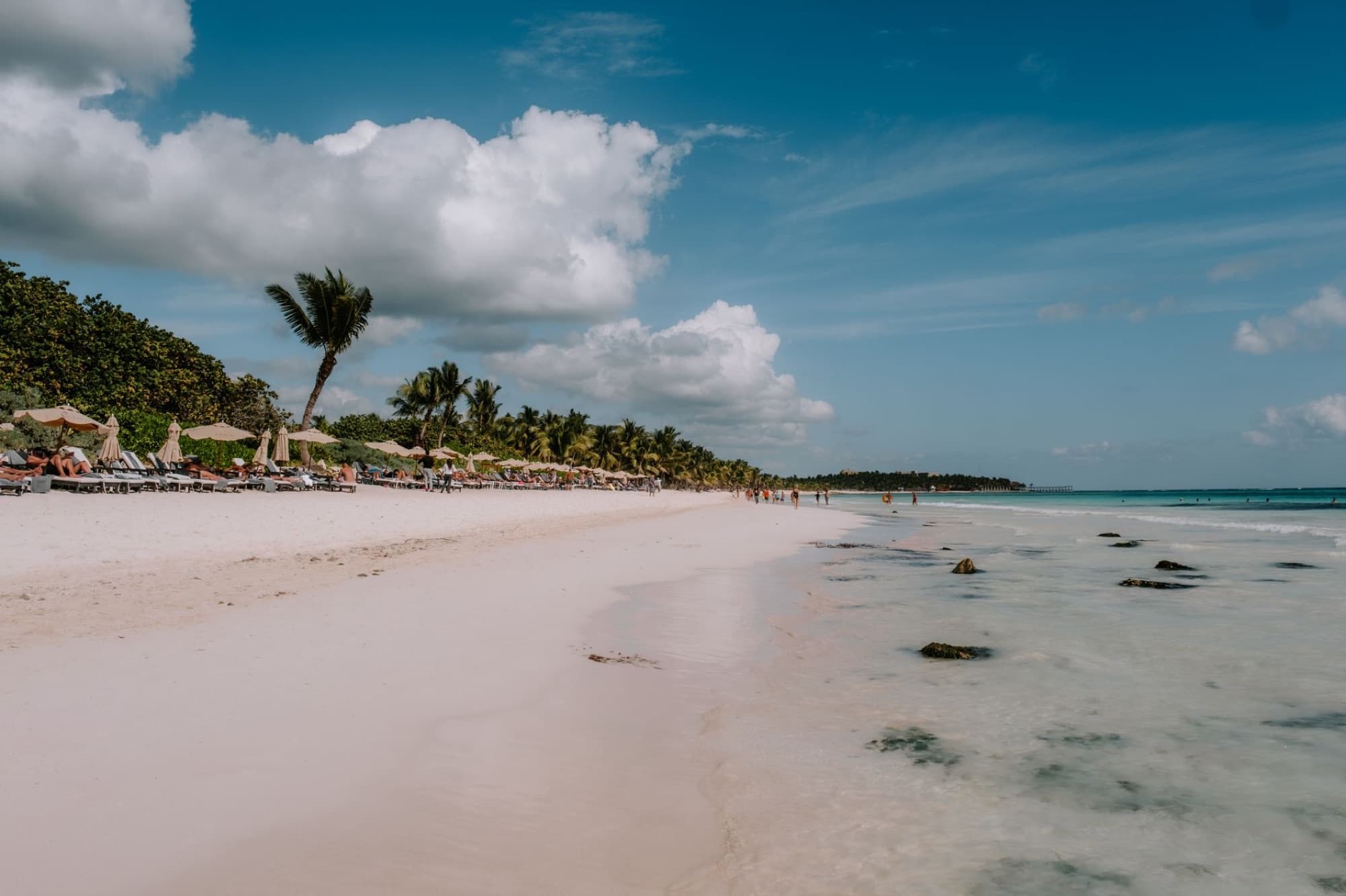 Serene beach in Tulum, Mexico with palm trees, clear water, and sunbathers under a blue sky.
