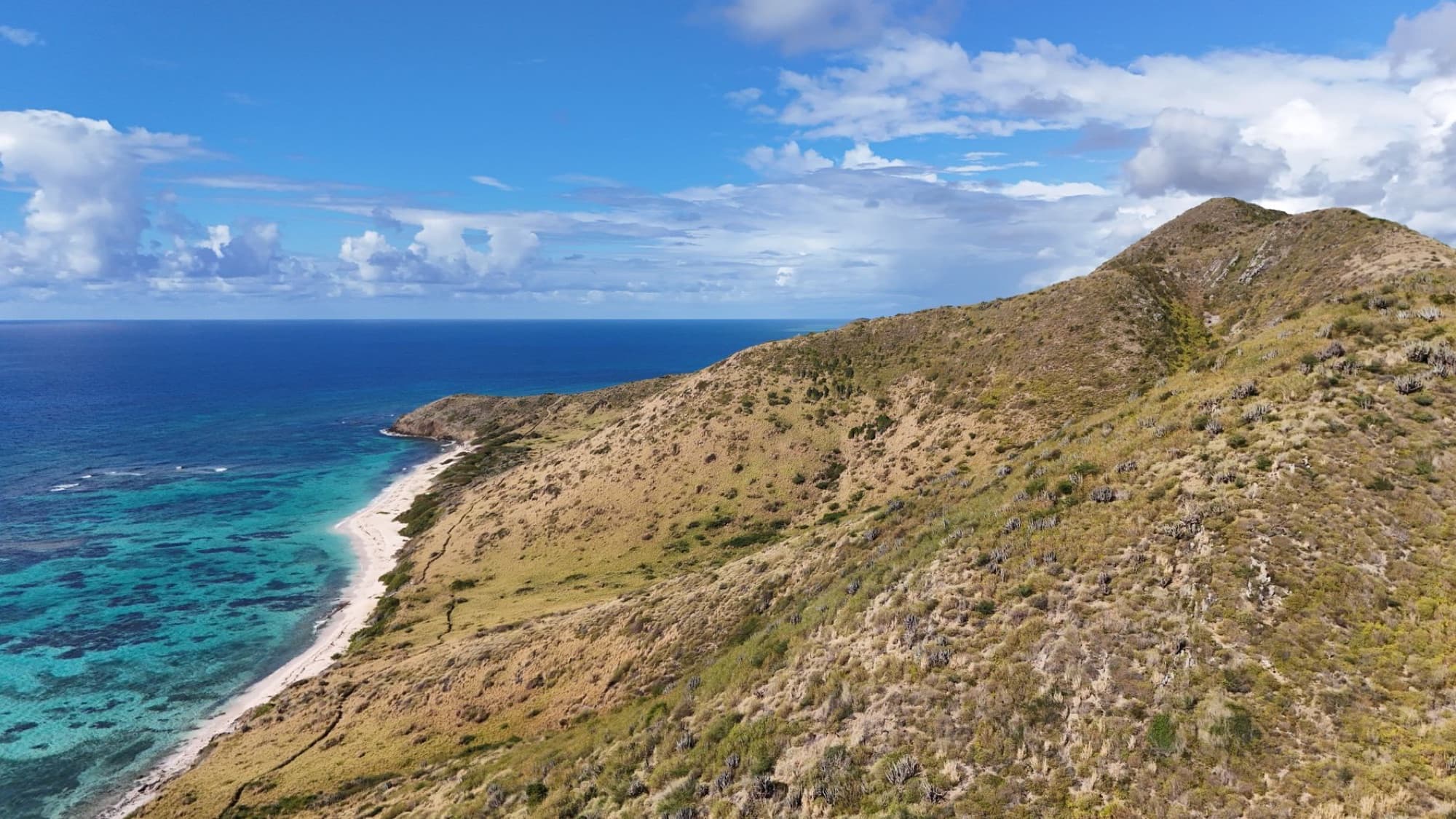 Vivid aerial shot of St. Croix's rugged coastline and clear blue waters under a bright sky.
