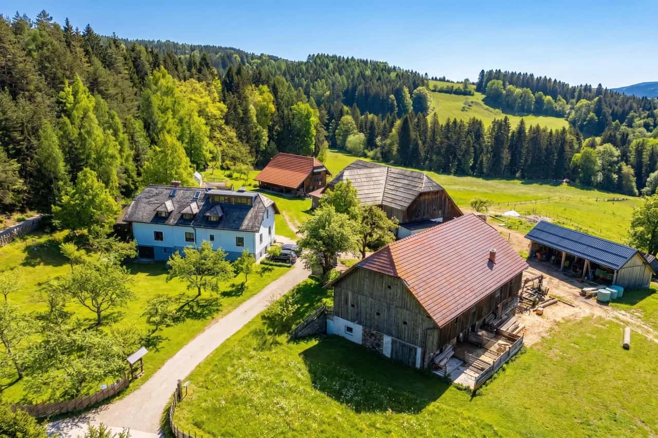 Organic Homestead Mikl Pine Tree Apt