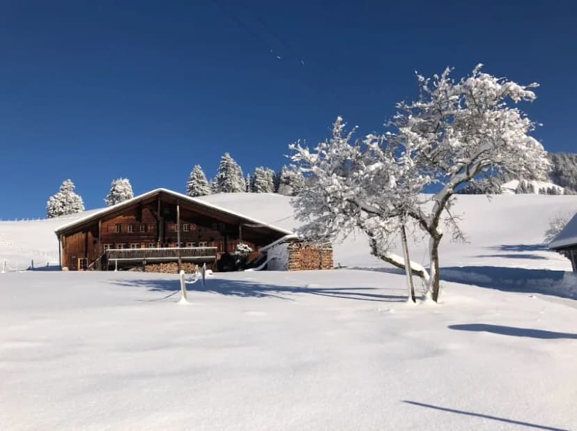 Renovated Chalet on Top of the Picturesque Village