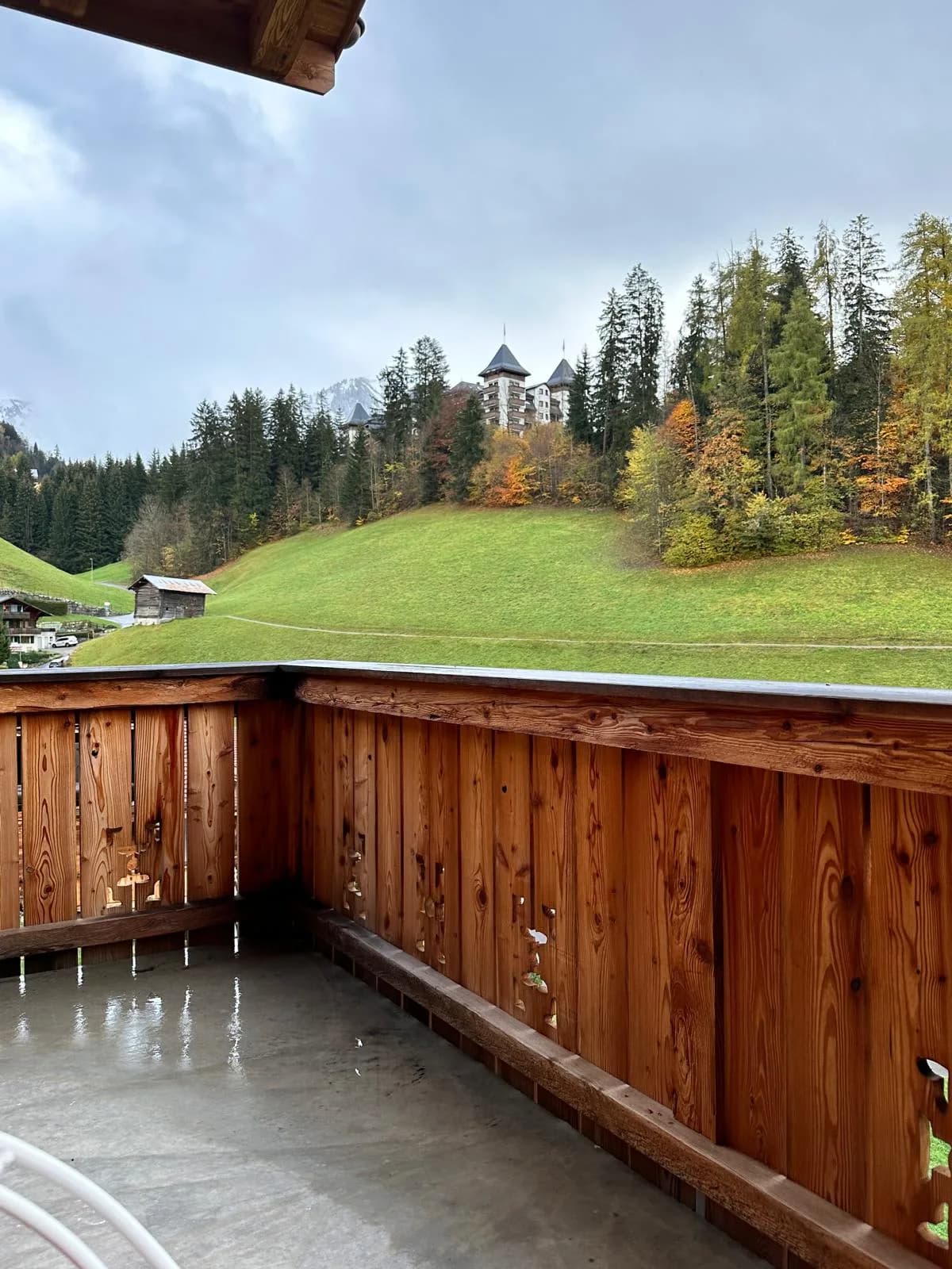 Brand New Super Chalet With Spa and Gym in Gstaad