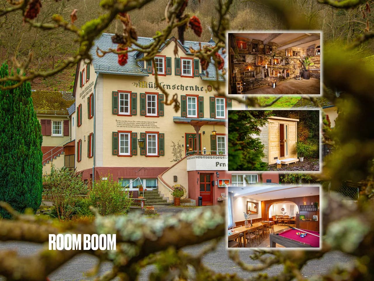 Game-Room Vineyard Estate in Rhine Valley
